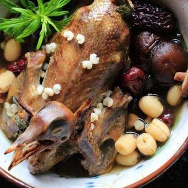 Bồ câu tiềm thuốc bắc