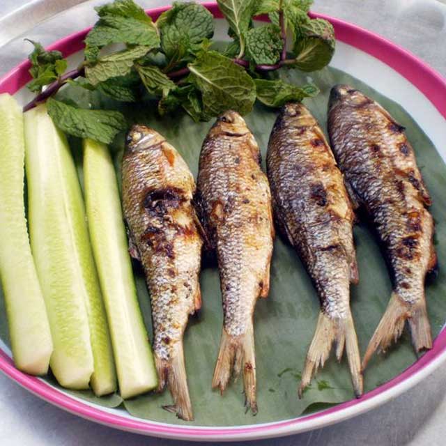 Cá niên nướng